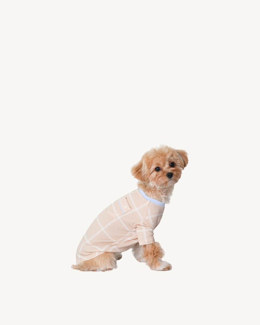 Pet Shirt