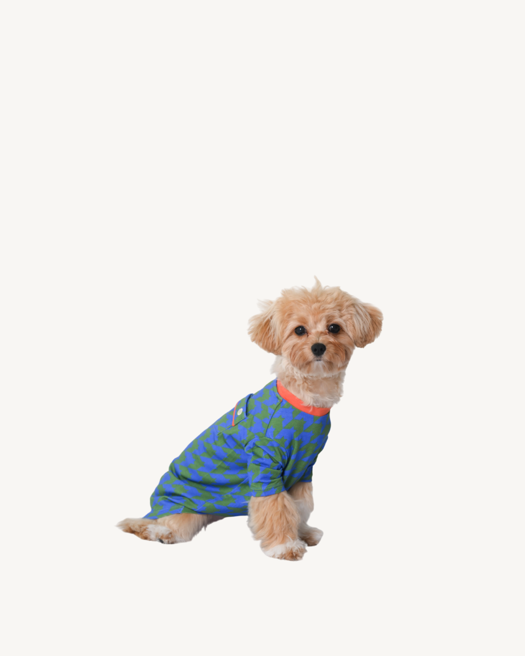 Pet Shirt