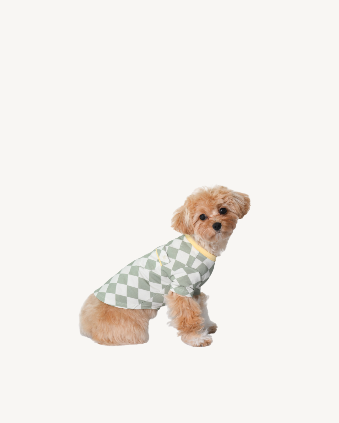 Pet Shirt