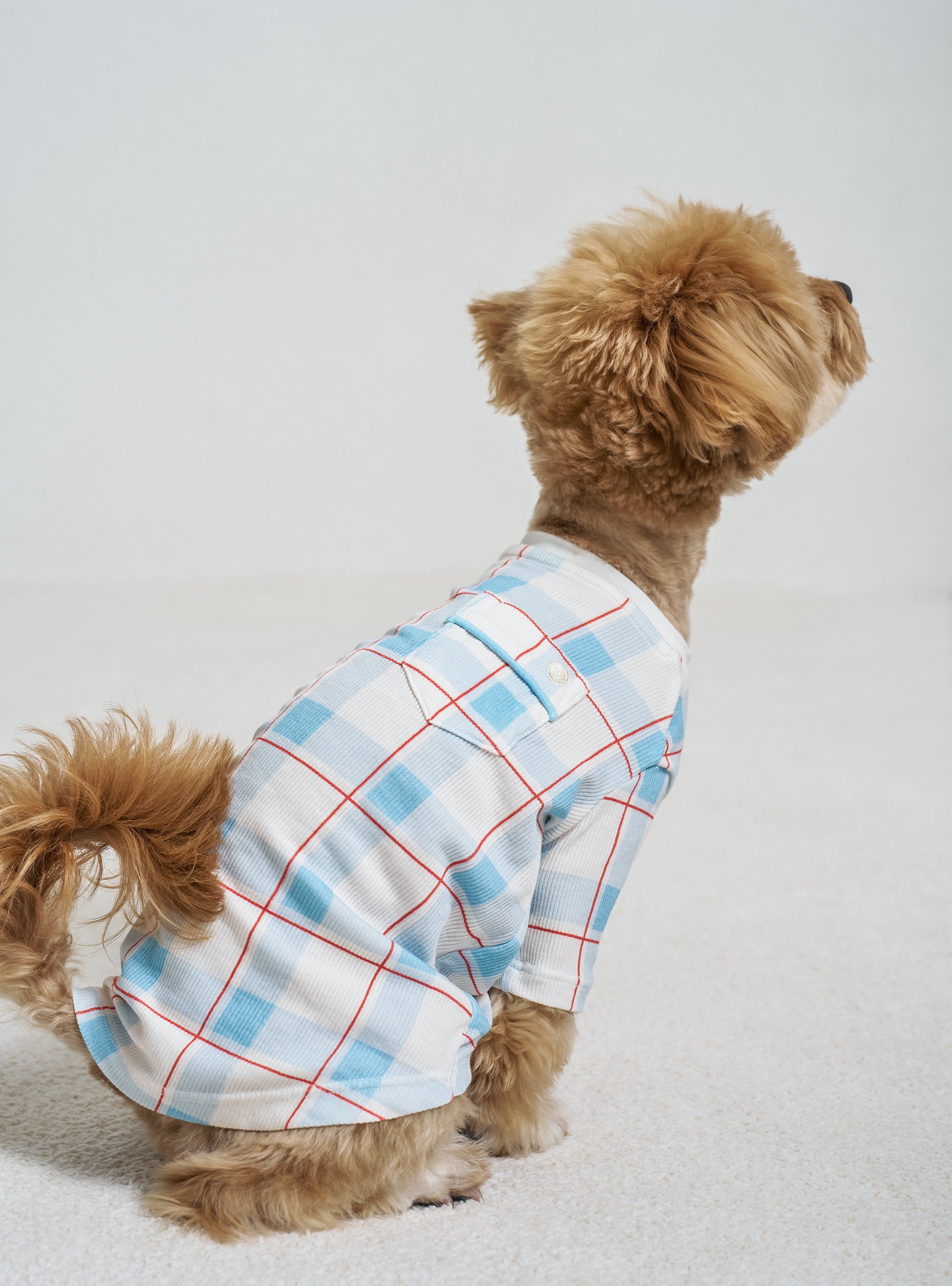 Pet Shirt