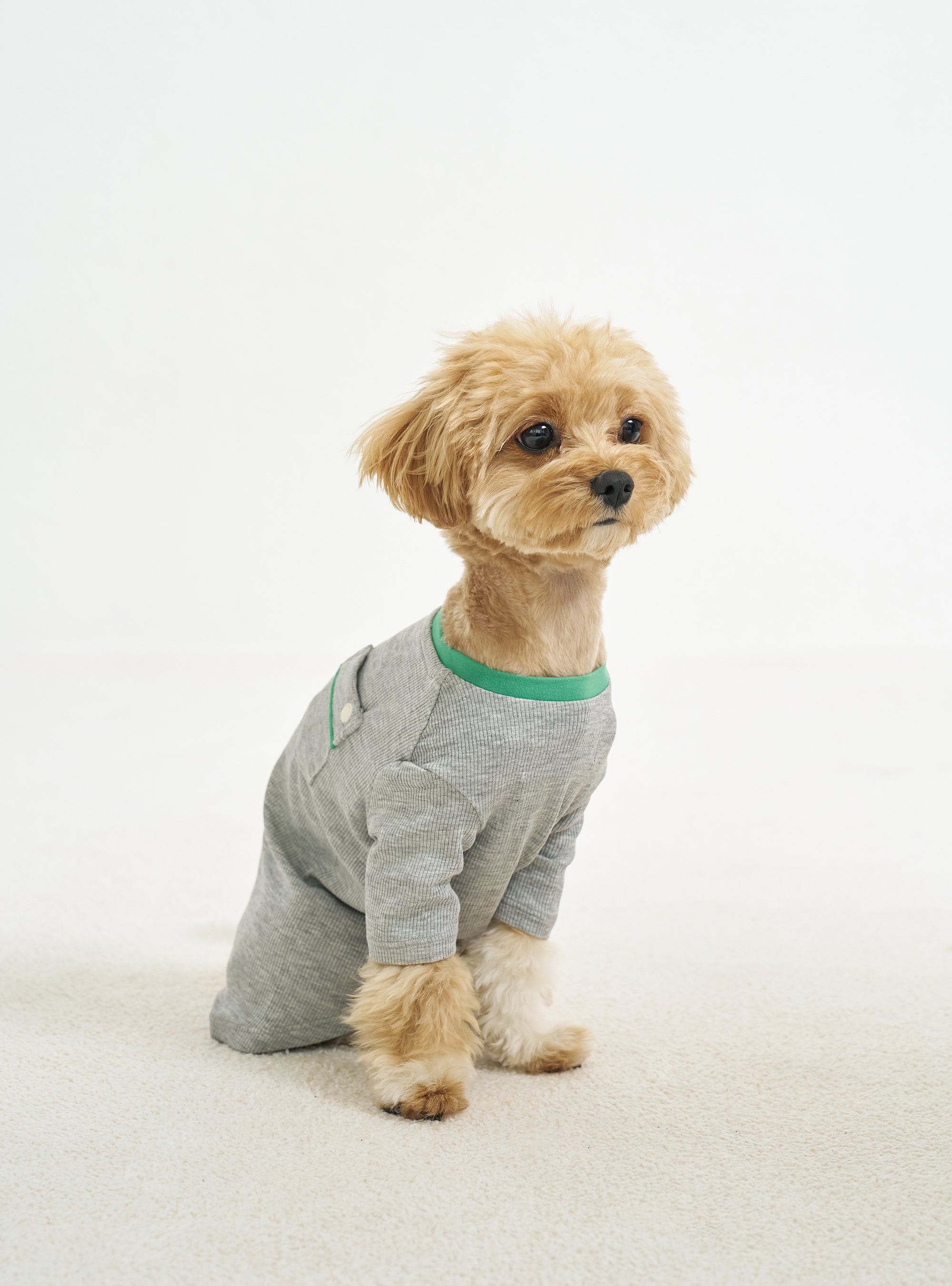 Pet Shirt