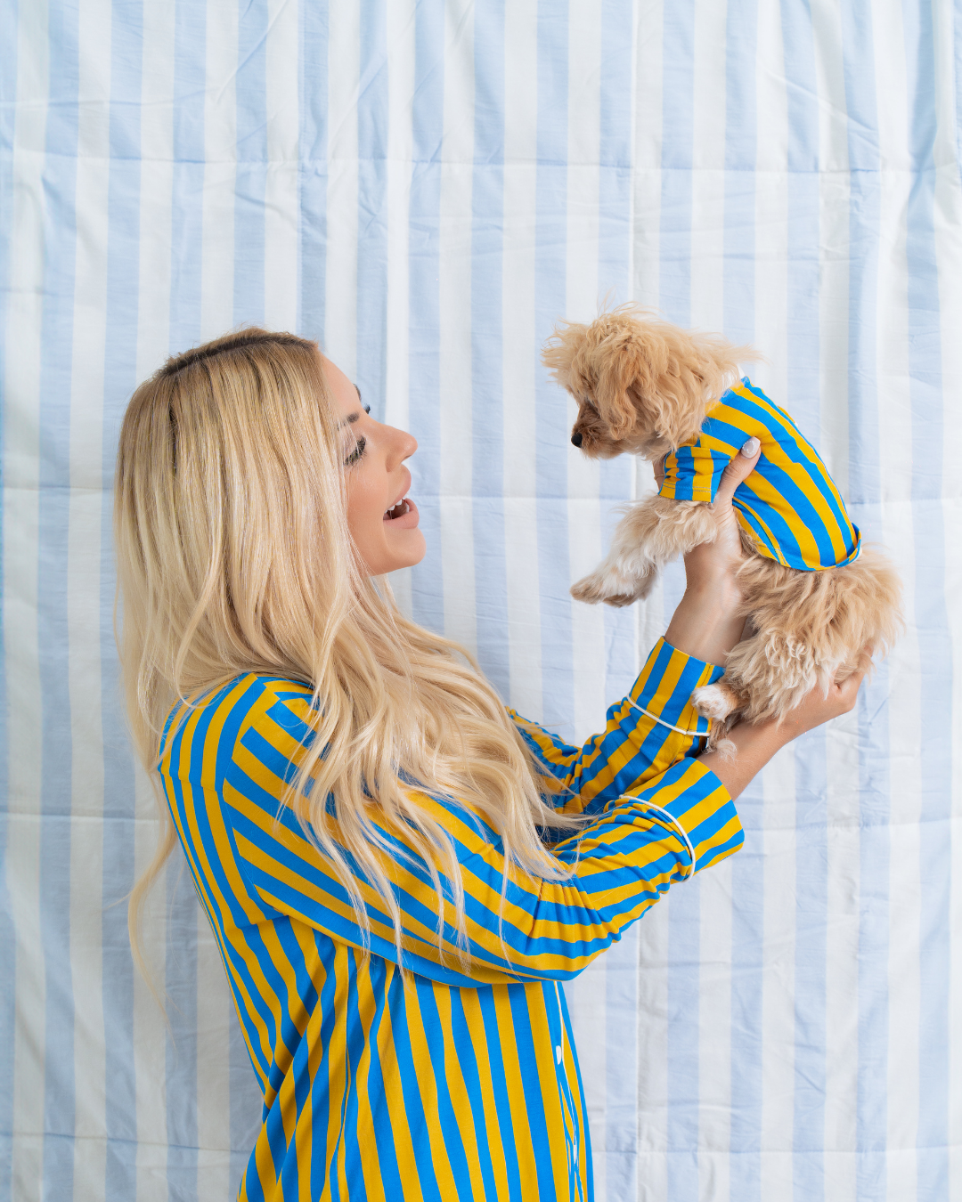 Pet Shirt