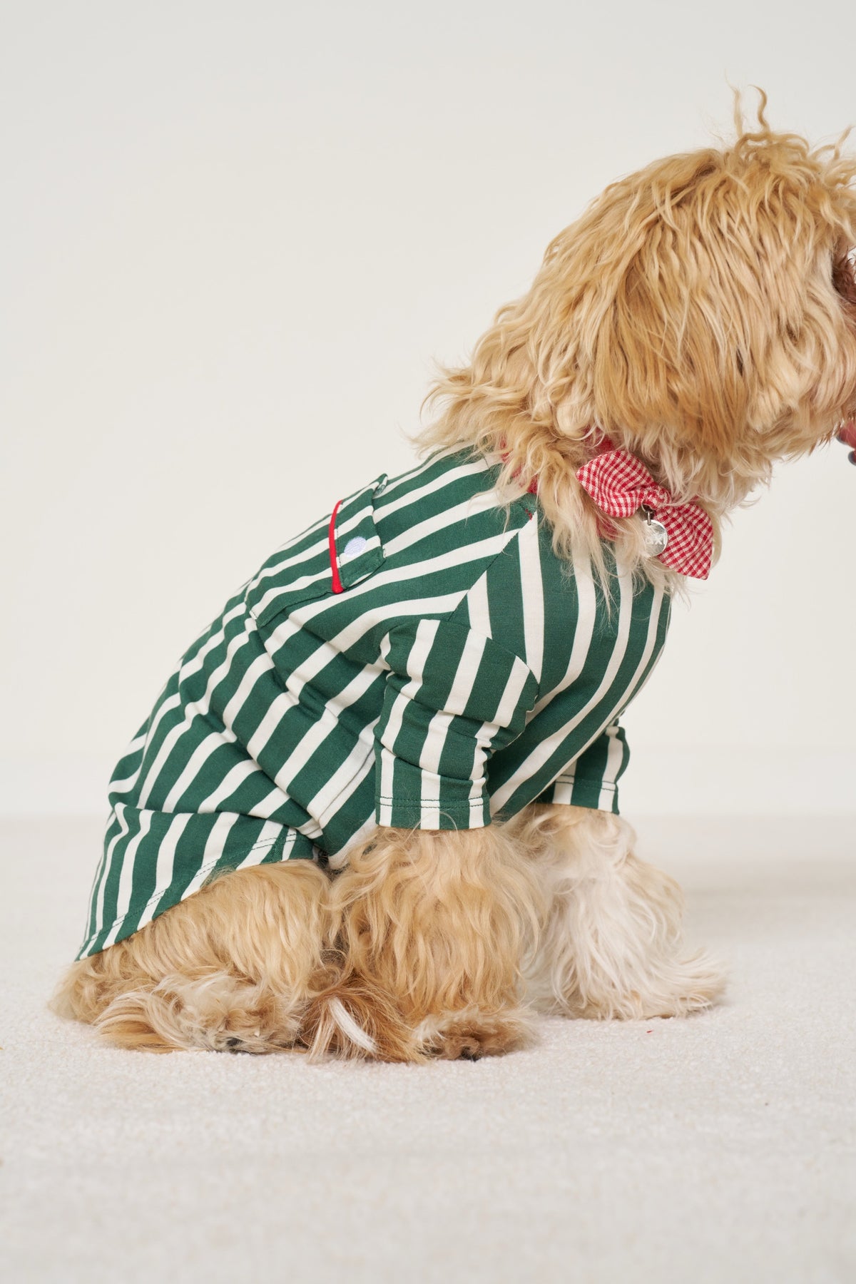Pet Shirt Christmas - Winter Green Striped TENCEL Modal
