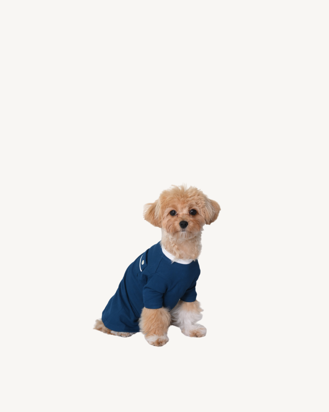 Pet Shirt
