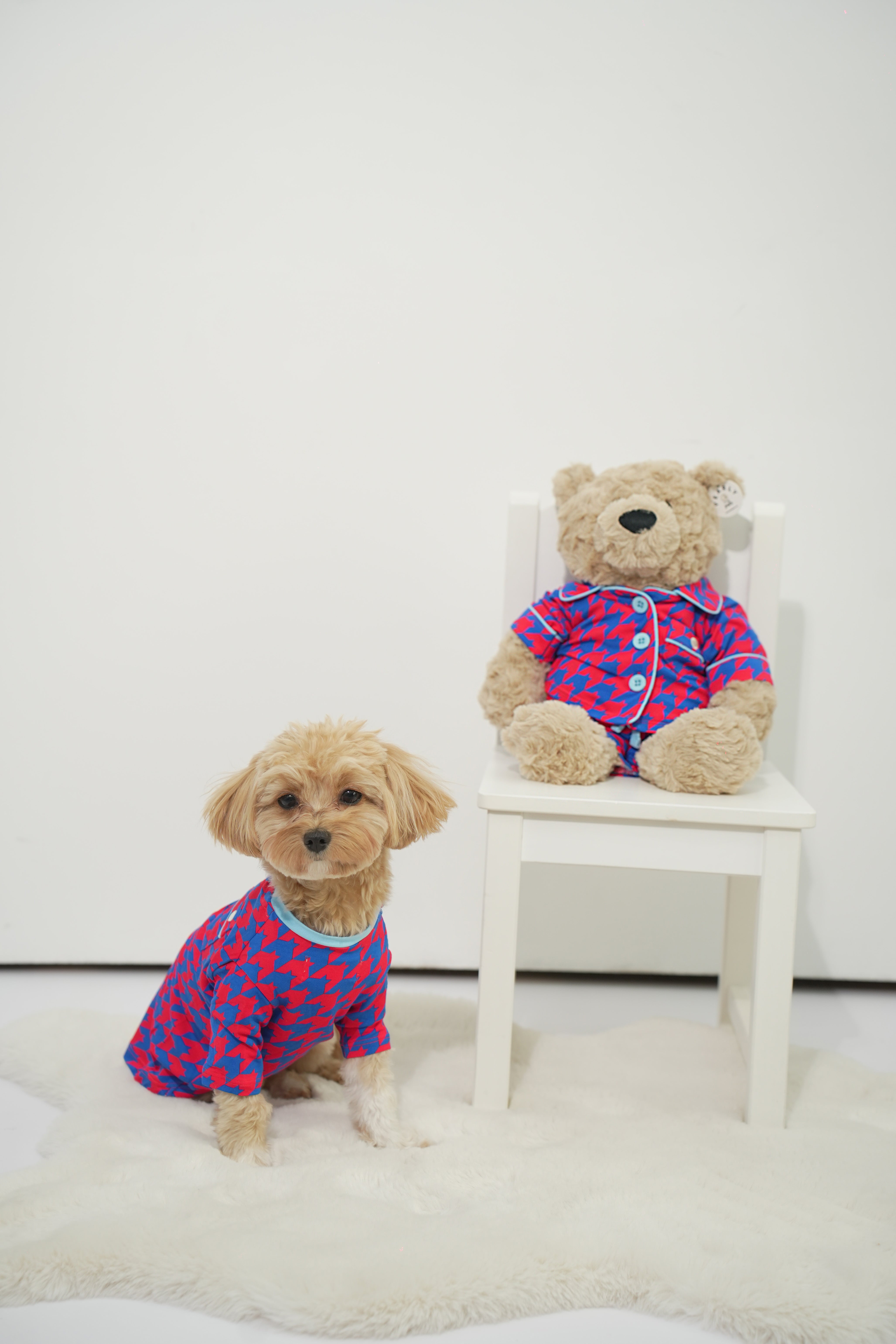 Pet Shirt
