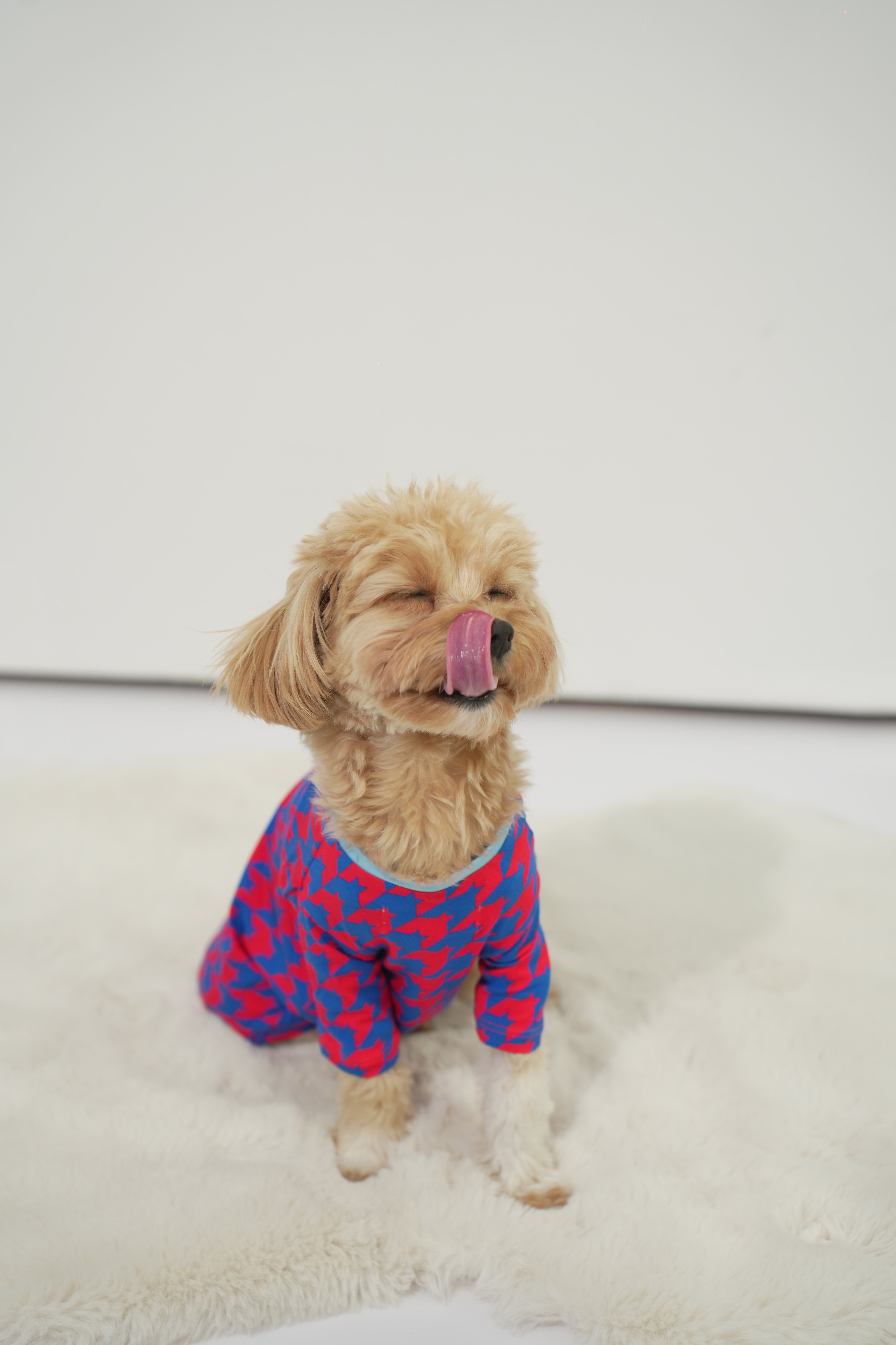 Pet Shirt